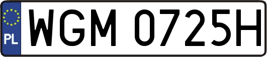 WGM0725H