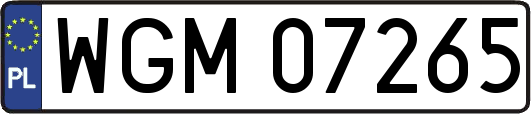 WGM07265