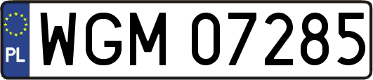 WGM07285