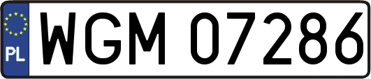 WGM07286