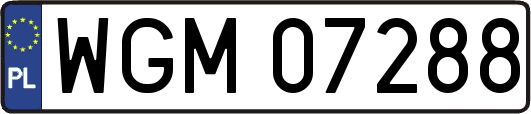 WGM07288