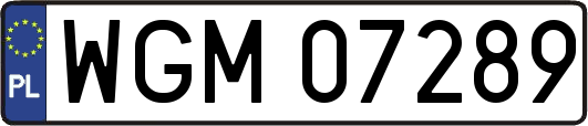 WGM07289