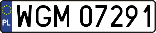 WGM07291