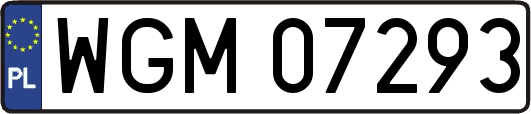 WGM07293