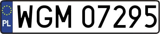 WGM07295