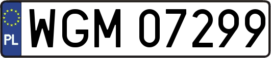 WGM07299