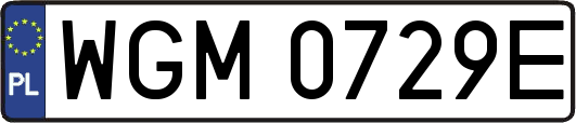 WGM0729E