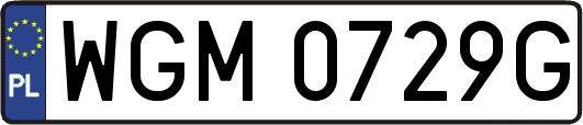 WGM0729G