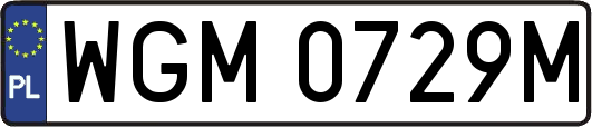 WGM0729M