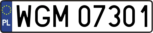 WGM07301