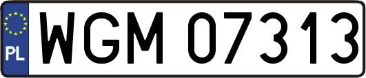 WGM07313