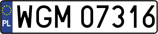 WGM07316