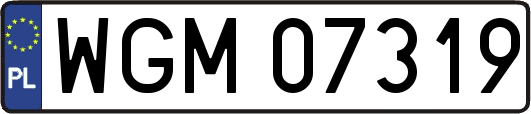 WGM07319