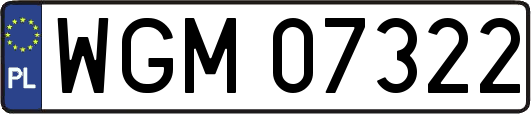 WGM07322