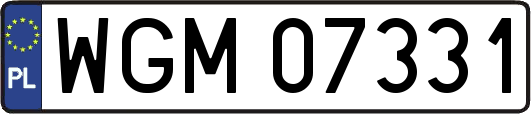WGM07331
