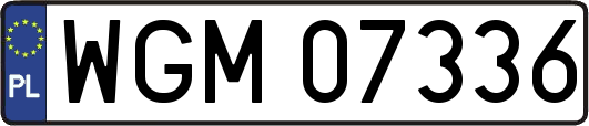 WGM07336