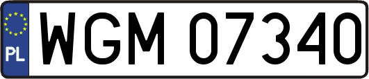 WGM07340