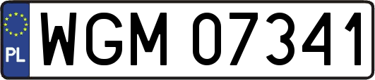 WGM07341