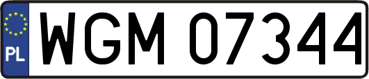 WGM07344