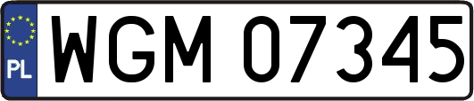 WGM07345