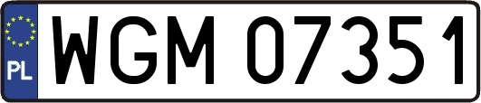 WGM07351