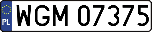 WGM07375