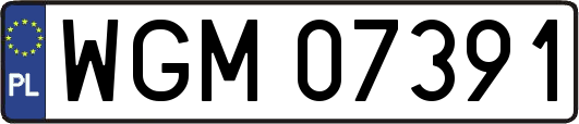 WGM07391