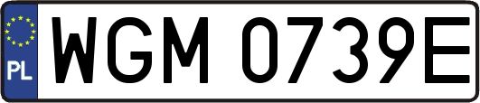 WGM0739E