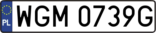 WGM0739G