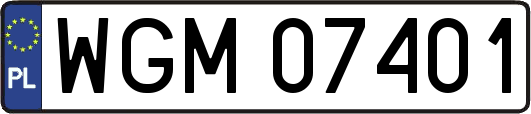 WGM07401
