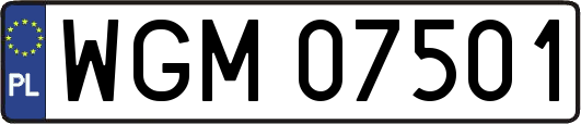 WGM07501