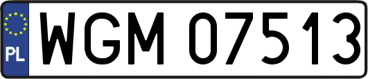 WGM07513