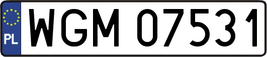 WGM07531