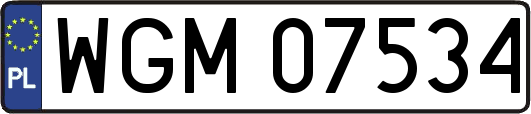 WGM07534