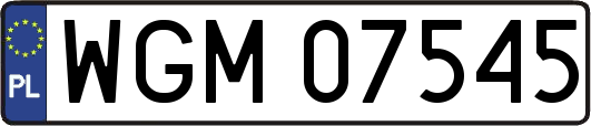 WGM07545