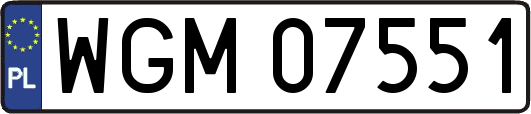 WGM07551
