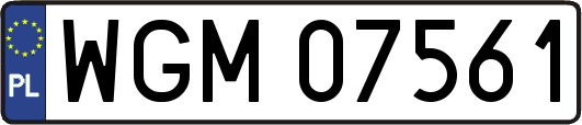 WGM07561