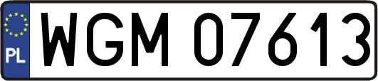 WGM07613