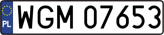 WGM07653