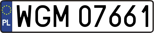 WGM07661