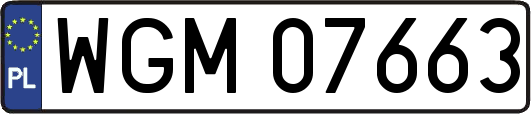WGM07663