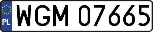 WGM07665