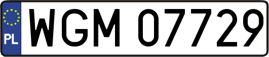 WGM07729