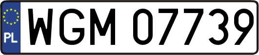 WGM07739