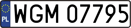 WGM07795