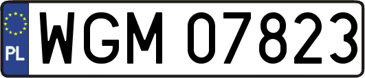 WGM07823