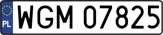 WGM07825
