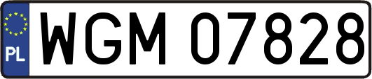 WGM07828