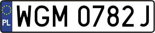 WGM0782J