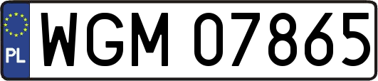 WGM07865